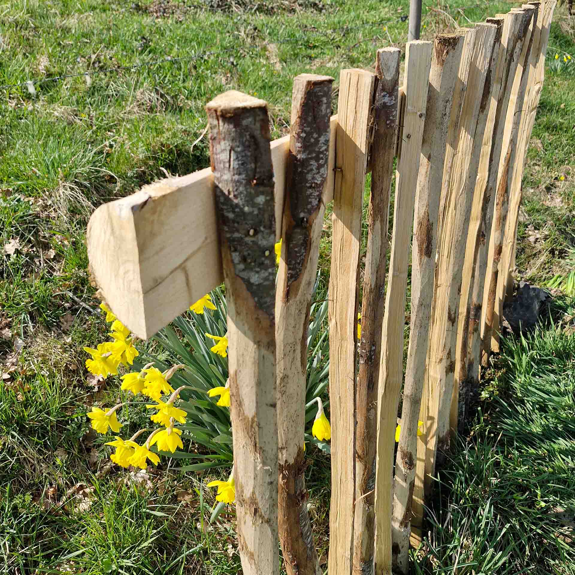 zaunelement mit stumpfen staketen auf Wiese in Nahansicht