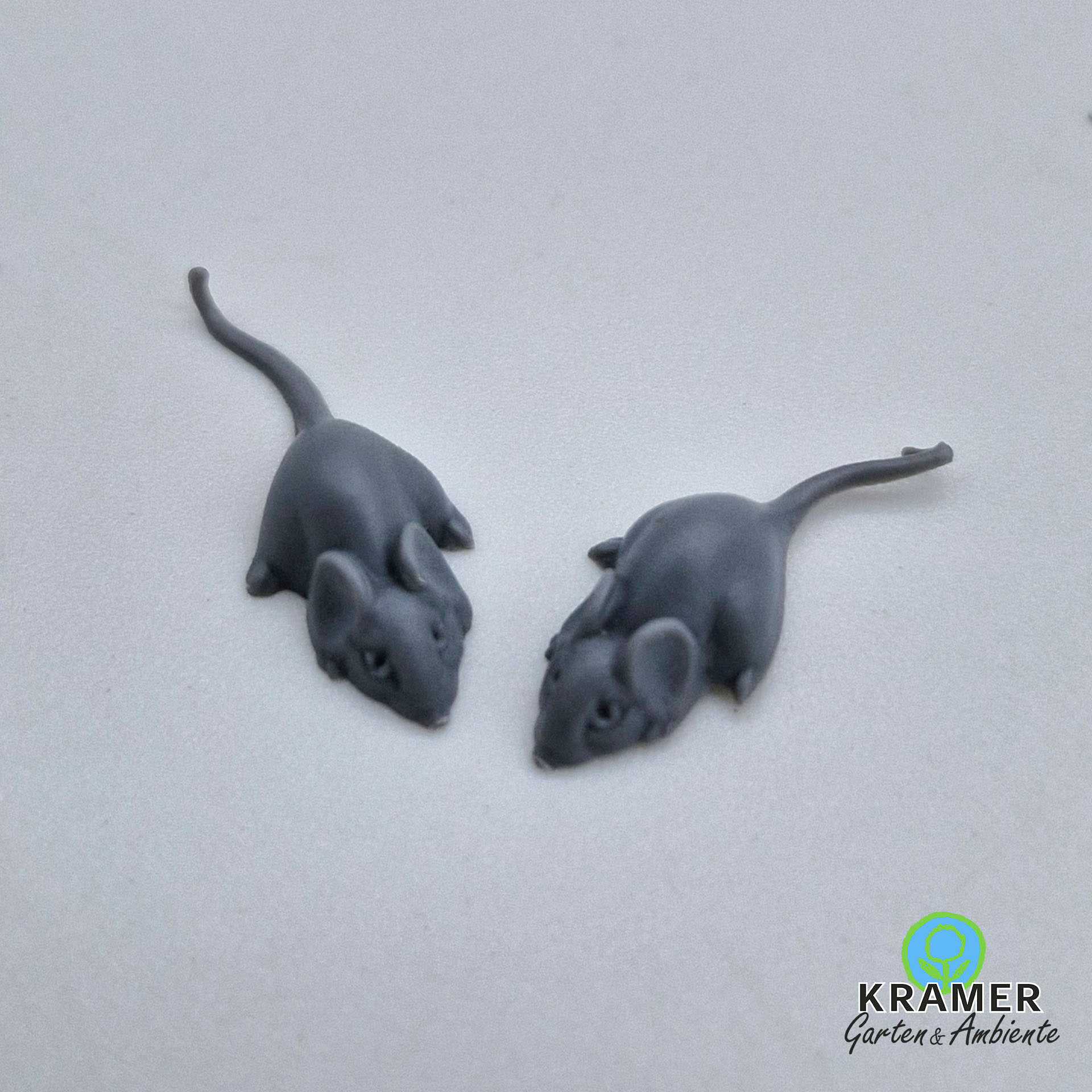 graue maus, 2 stück abgebildet