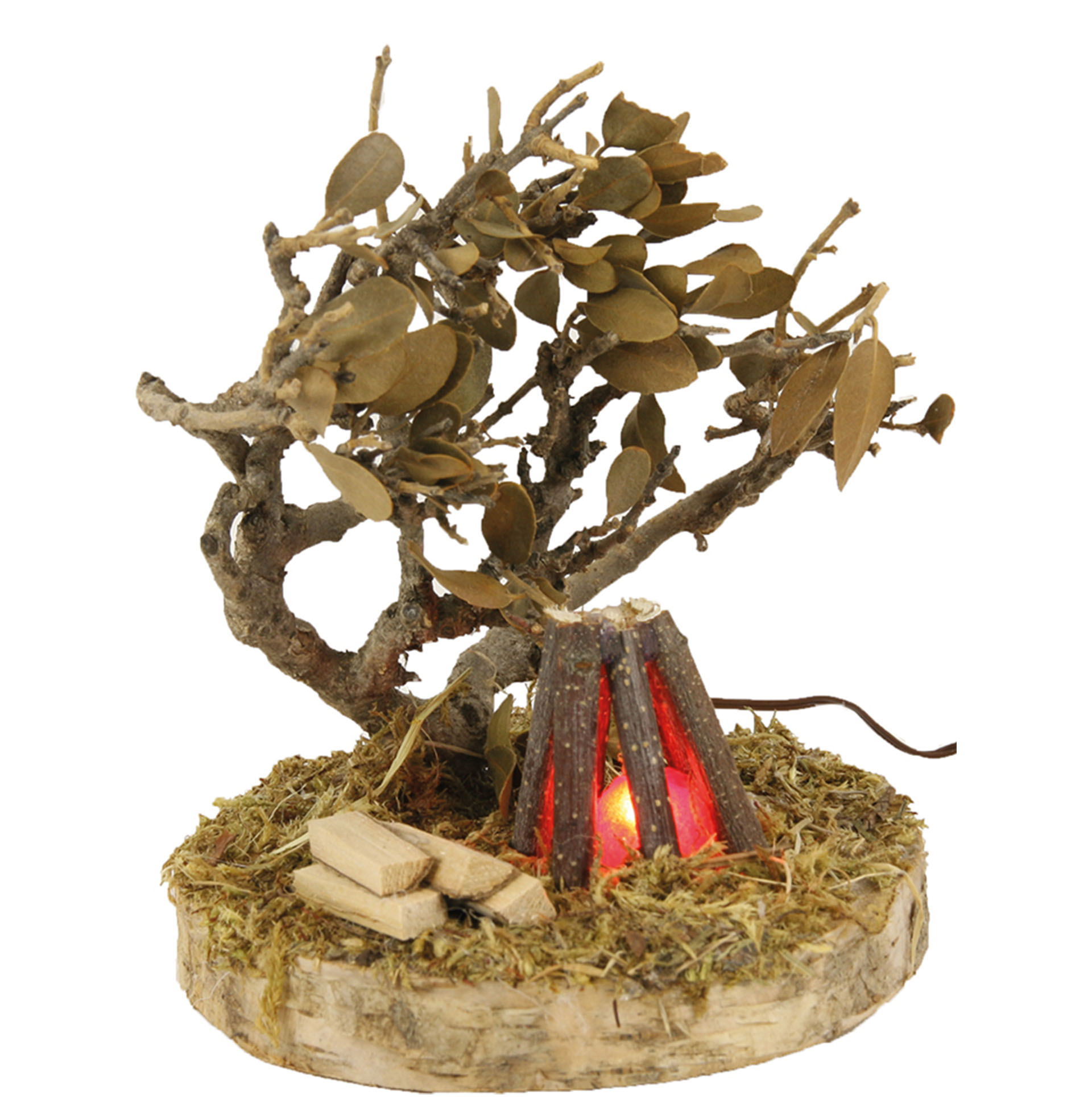 Lagerfeuer mit Busch, beleuchtet Pflanze, Holz, Baum