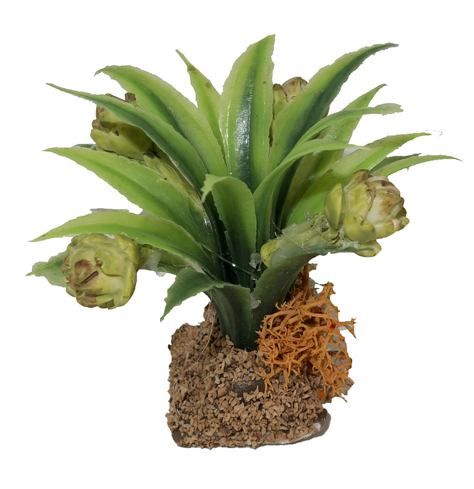 Artischockenpflanze Artischockenpflanze Krippenbotanik für eine realistische Krippenlandschaft