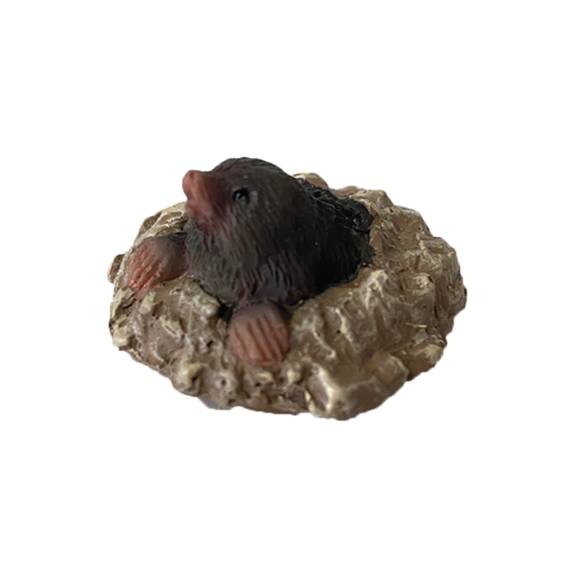 Tier, Säugetier