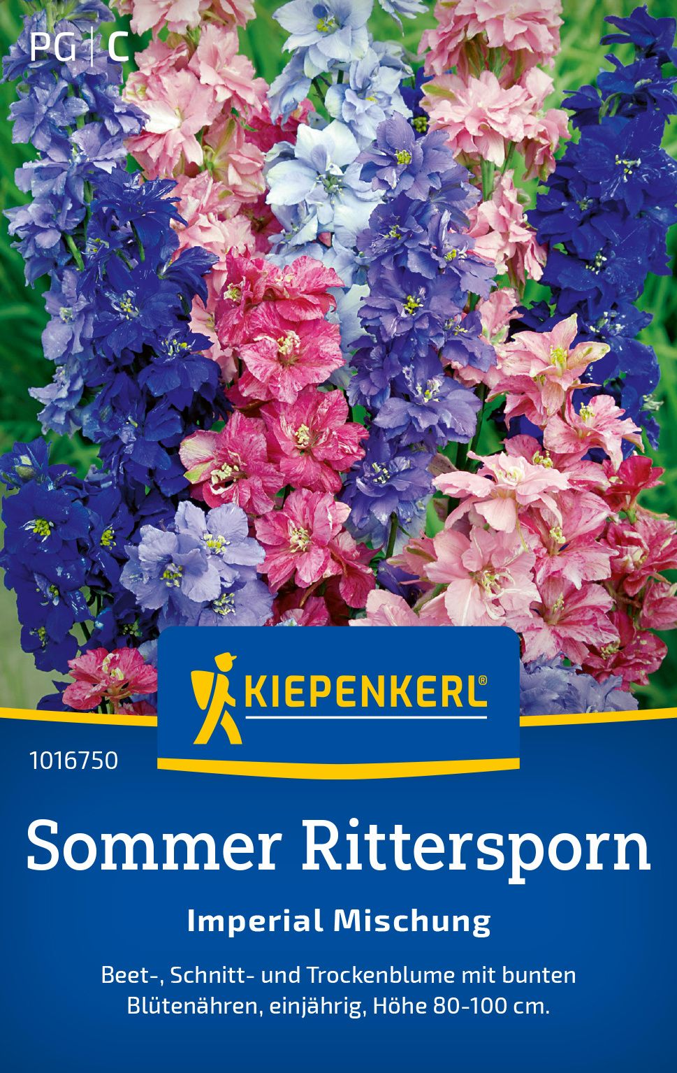 Sommer Rittersporn Mischung PG-C Werbung, Plakat, Blume, Pflanze