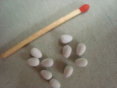 Ei 5-6mm