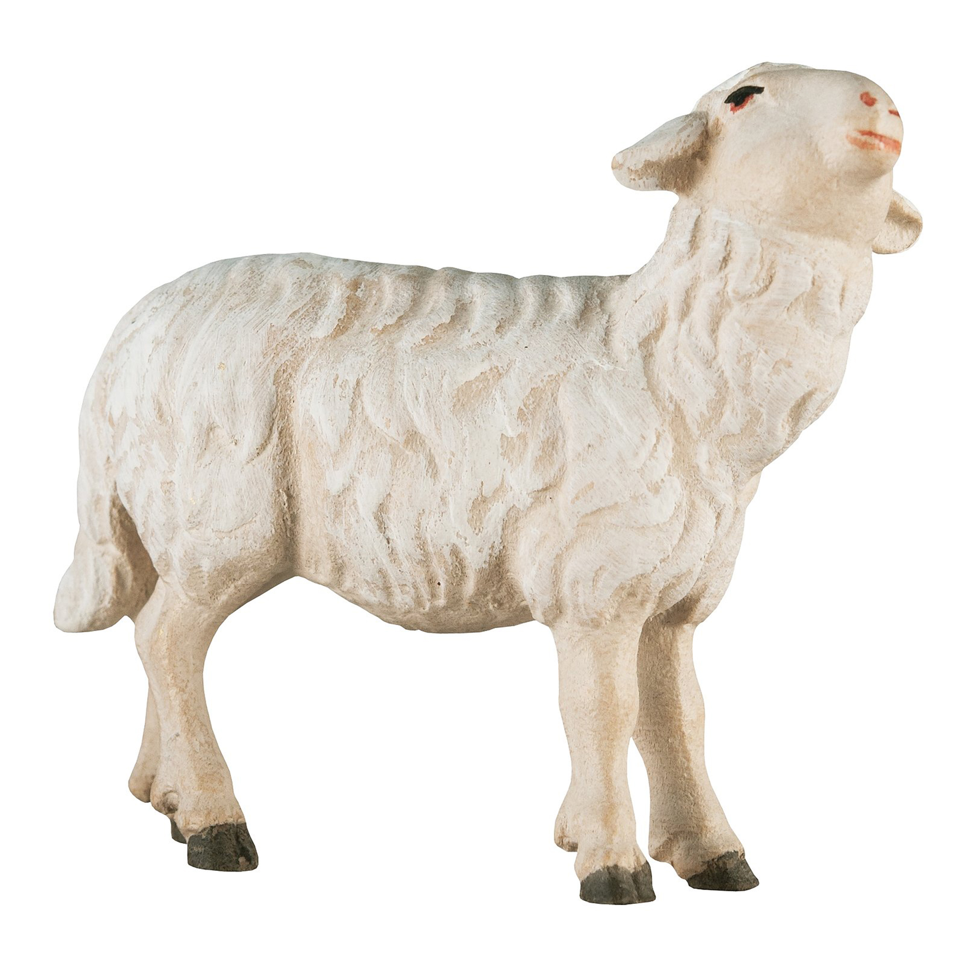 Schaf zu Fütterer links Bethlehem Krippe coloriert Schaf zu Fütterer links Bethlehem Krippe coloriert Krippenfigur