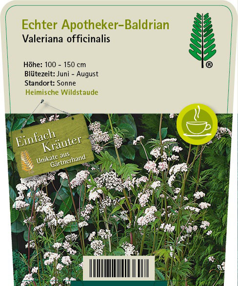 Pflanzstecker mit blühendem Baldrian, kurzer Inotext, Kräuterig, Kräuter, Pflanze, Blume