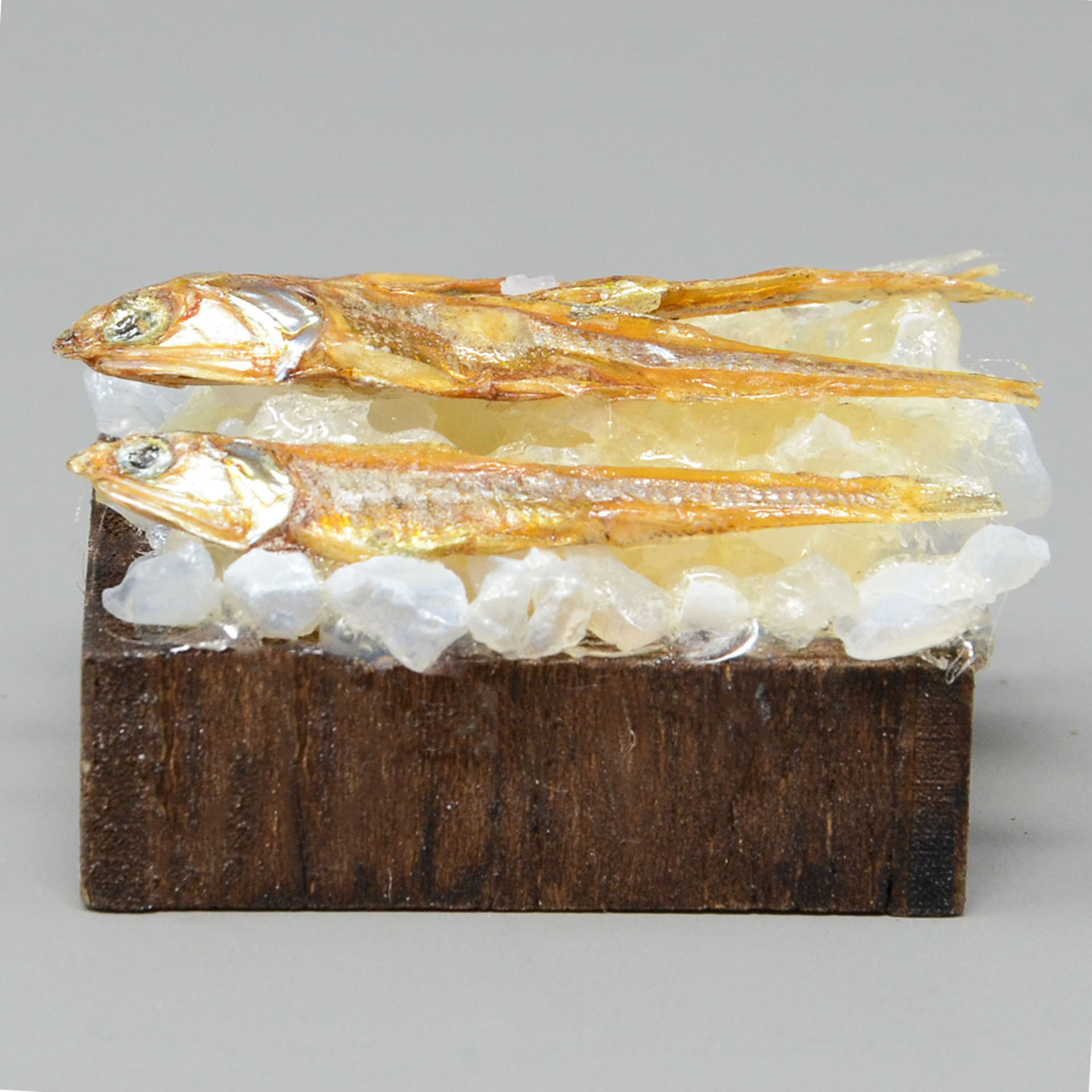 Holzkiste mit Fisch Tier, Fische, Hering, Leben im Meer, Sardine, Tier, Fische, Hering, Leben im Meer, Sardine