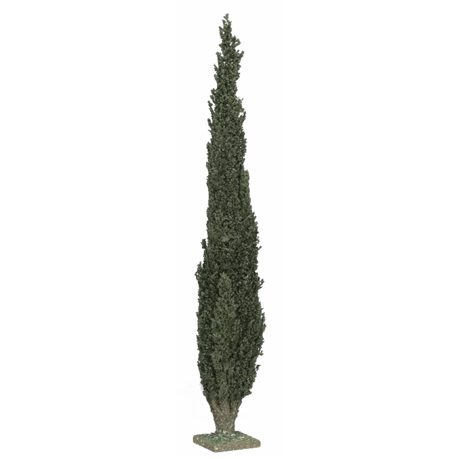 Krippenbotanik Zypresse 20cm Kunstpflanze zur Gestaltung der Krippenlandschaft