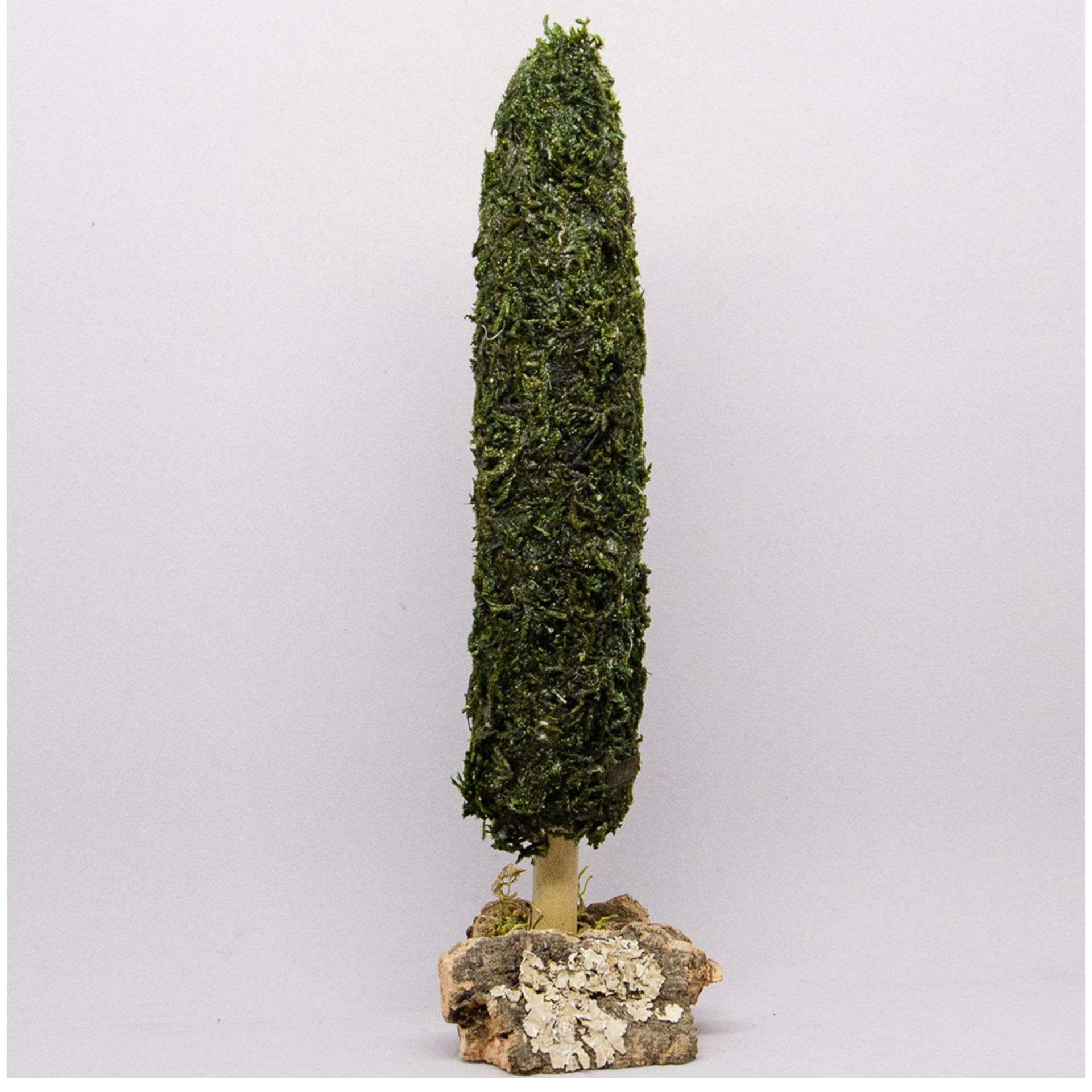 Krippenbotanik Zypresse 20cm Kunstpflanze zur Gestaltung der Krippenlandschaft, Pflanze, Baum, Konifer