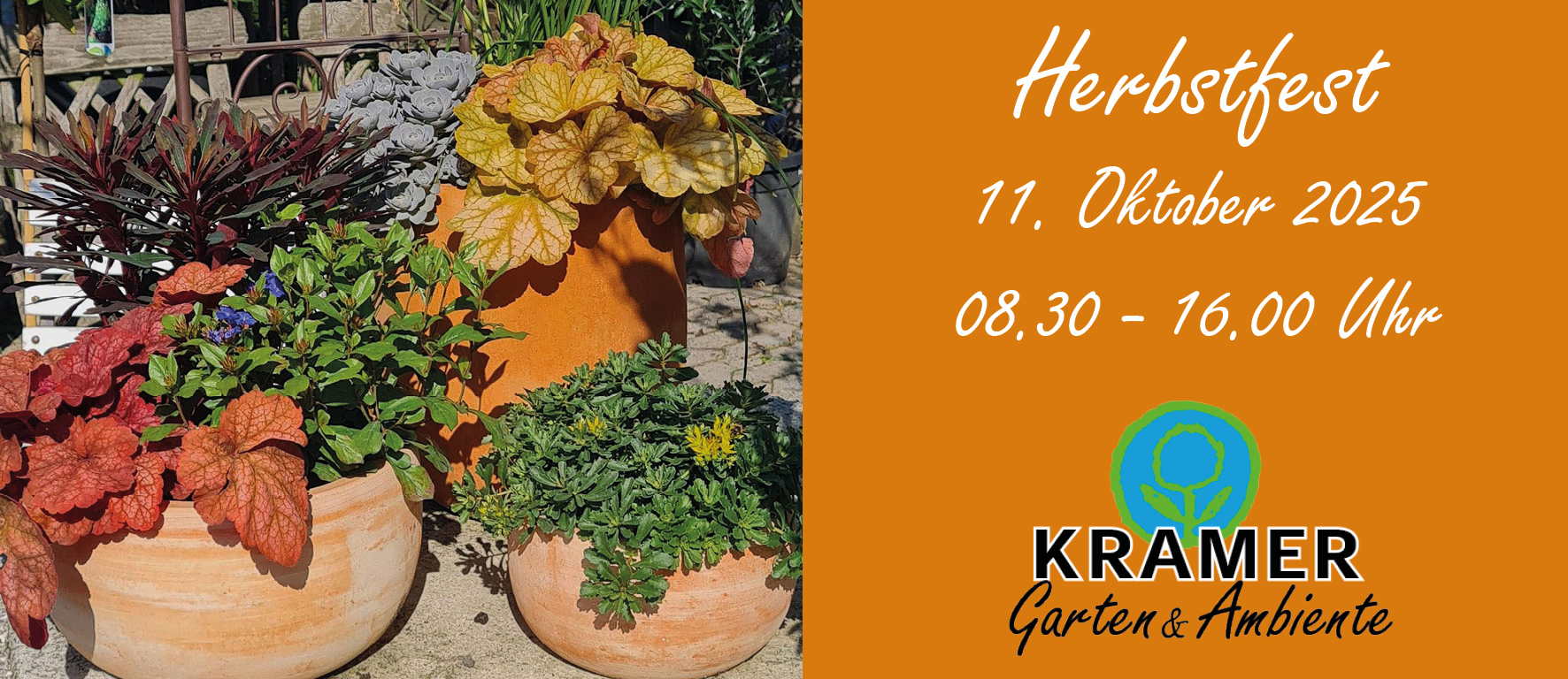 Krug, Pflanzgefäß, Topfpflanze, Kräuter, Blatt