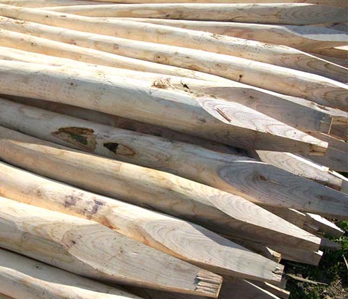 gespaltene Holzpfosten