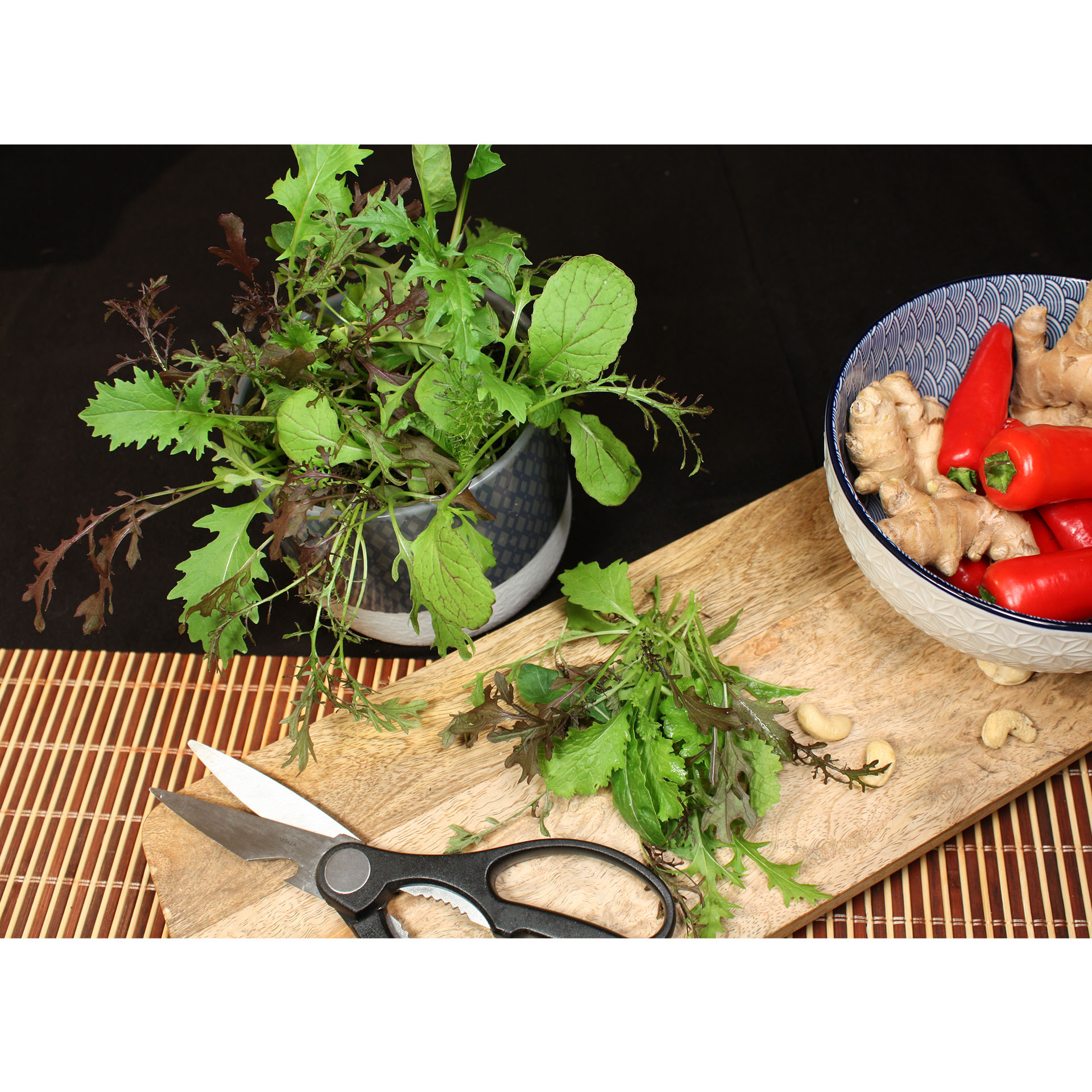 Bio Salat scharf senfartig vitaminreich Gemüseanbau