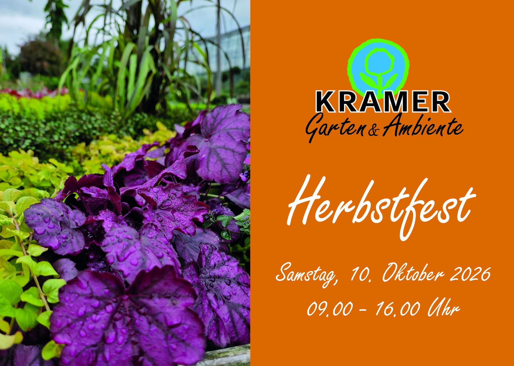 pflanzen, garten, herbstfest, blätter, bunte stauden