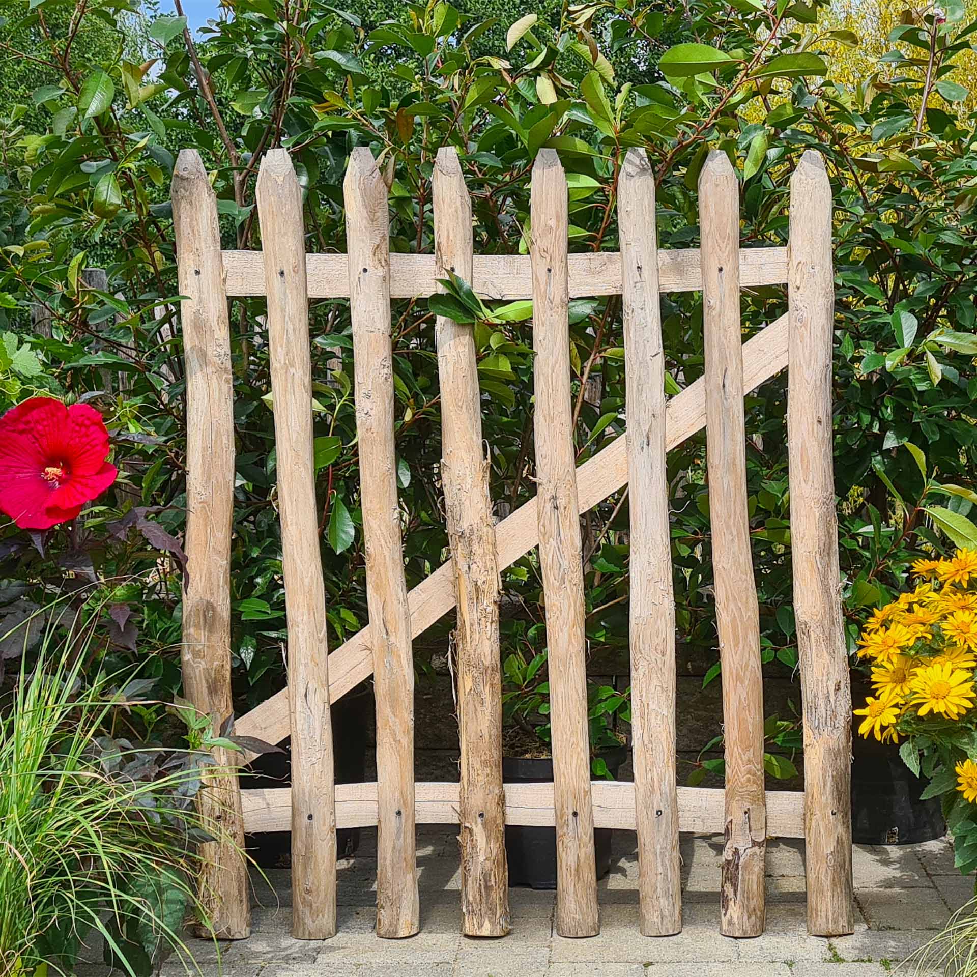 Holzzaun, Sichtschutz, Gartenzäun, Holzlatten, Naturholz