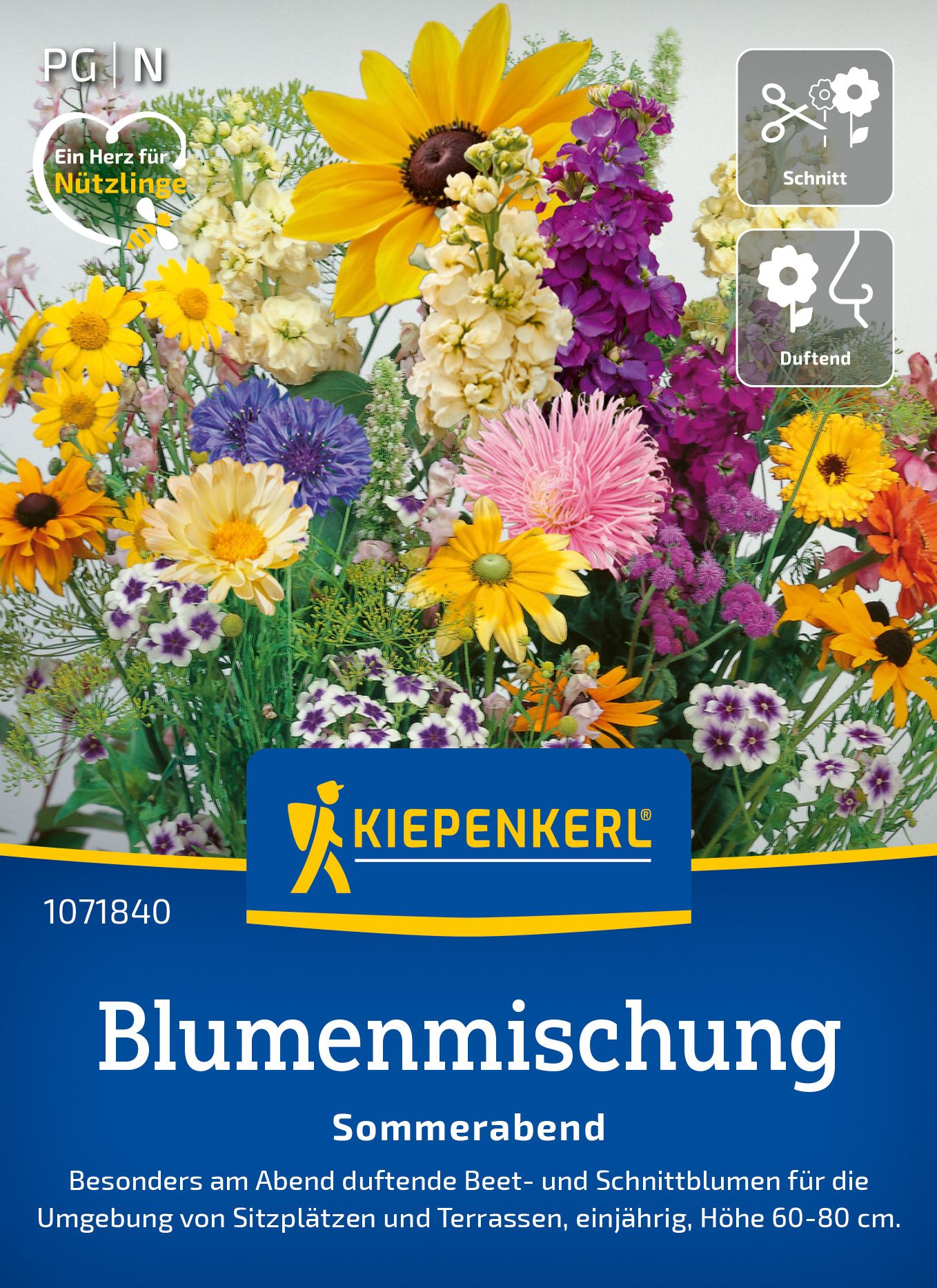 Blumenmischung Sommerabend Werbung, Plakat, Gänseblümchen, Blume, Kräuterig