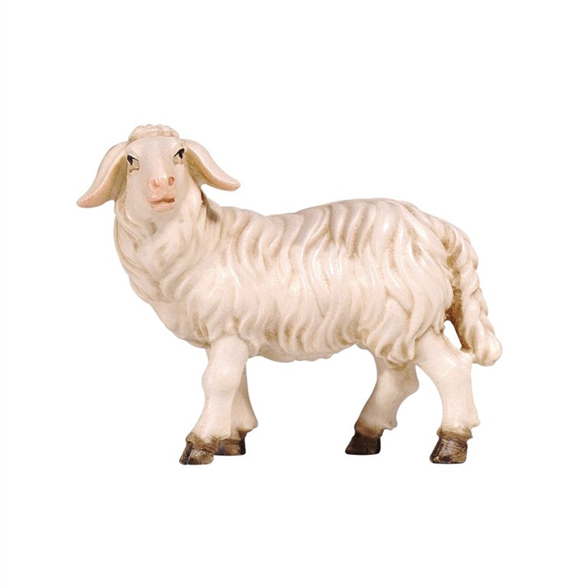 Vieh, Tier, Säugetier