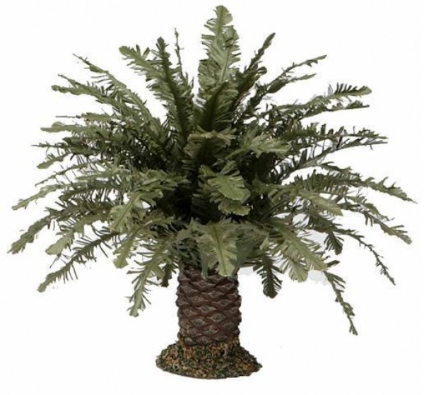 Krippenbotanik Palme 24cm zur Gestaltung der Krippenlandschaft