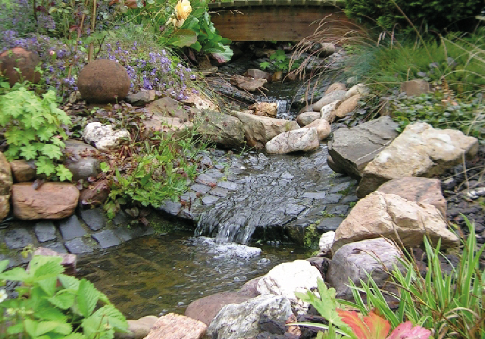 Natur, Draußen, Teich, Wasser, Fels