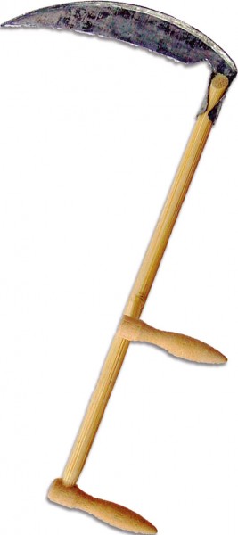 Sense_8-9_F Sense, Länge 7,6cm