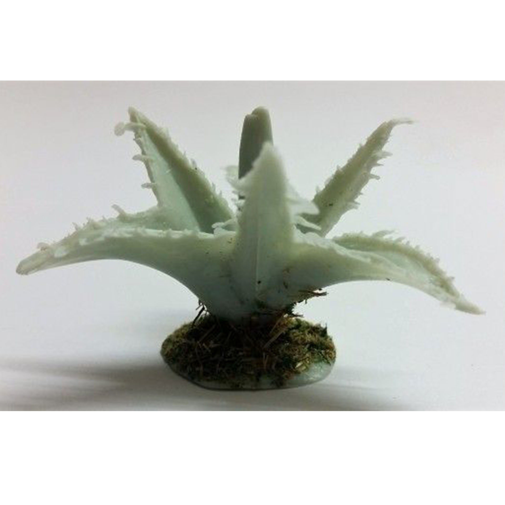 Krippenbotanik Pflanze Agave 3cm zur Gestaltung der Krippenlandschaft