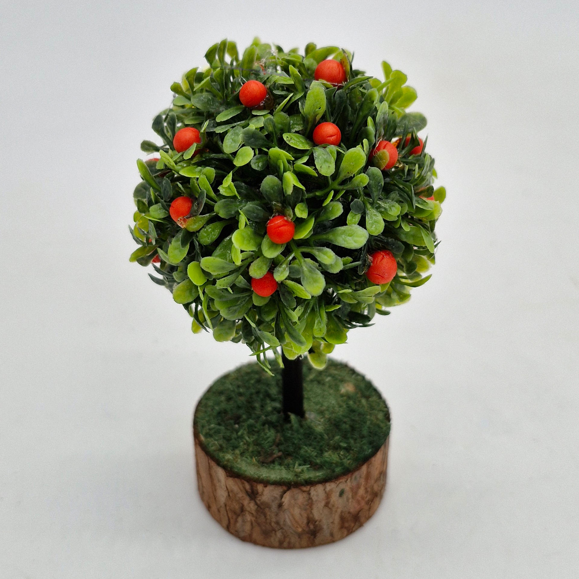 Apfelbaum 12cm Pflanze, Blumen-Arrangement, Baum, Topfpflanze, Blatt