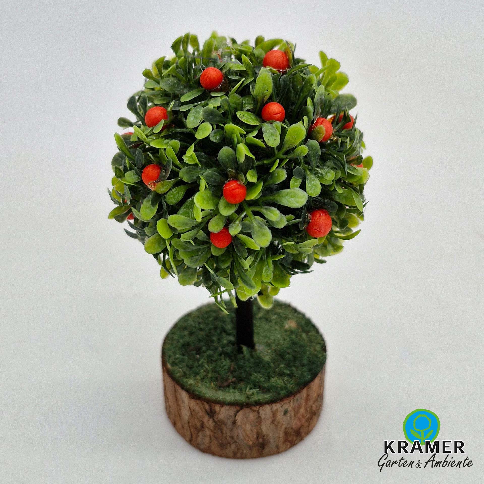 Pflanze, Blumen-Arrangement, Baum, Topfpflanze, Blatt, Pflanze, Baum, Topfpflanze, Blumen-Arrangement, Blatt