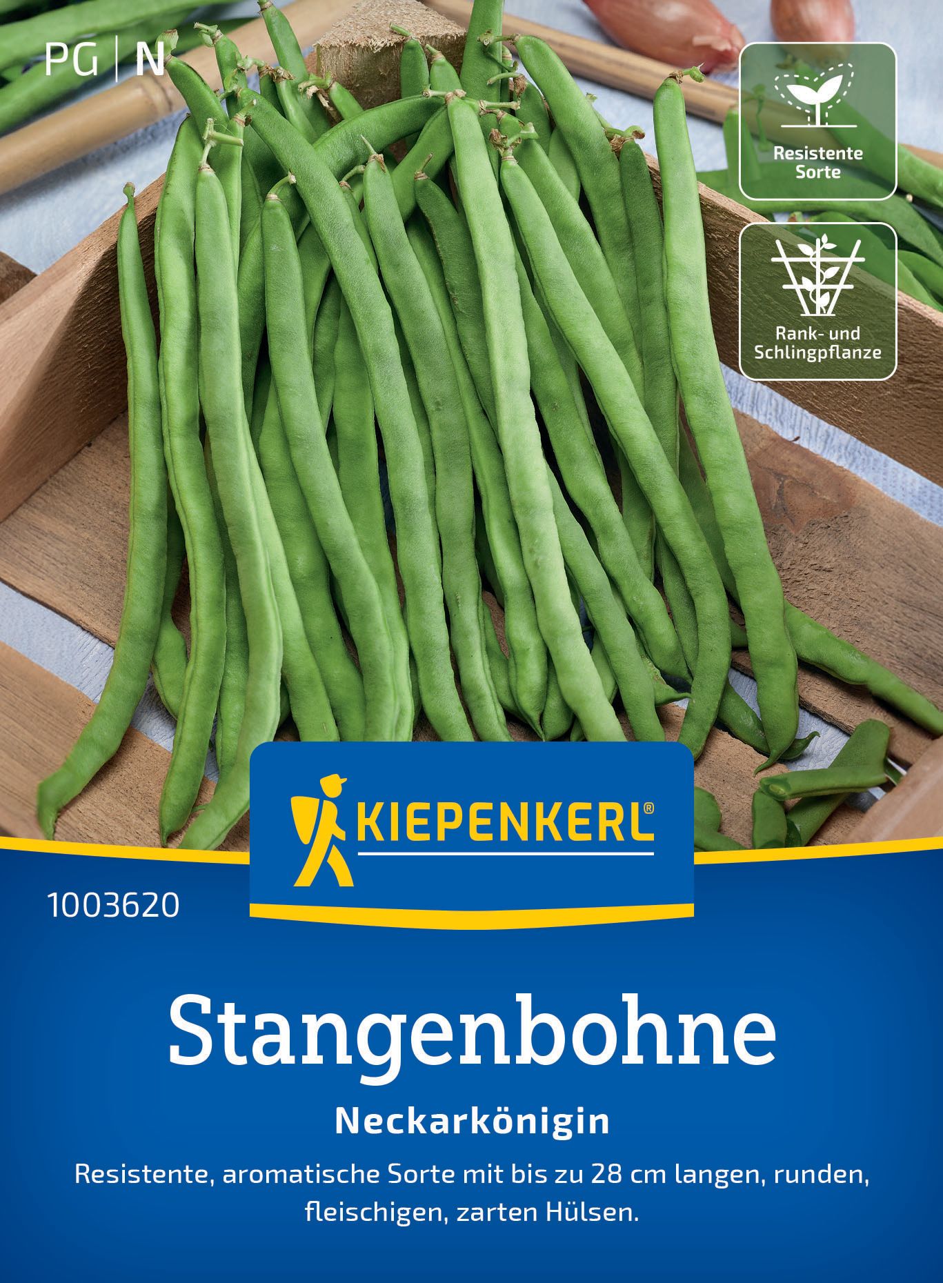 Stangenbohne Neckarkönigin, Gemüsesamen Bohne, Essen, Produzieren, Gemüse, Grüne Bohne