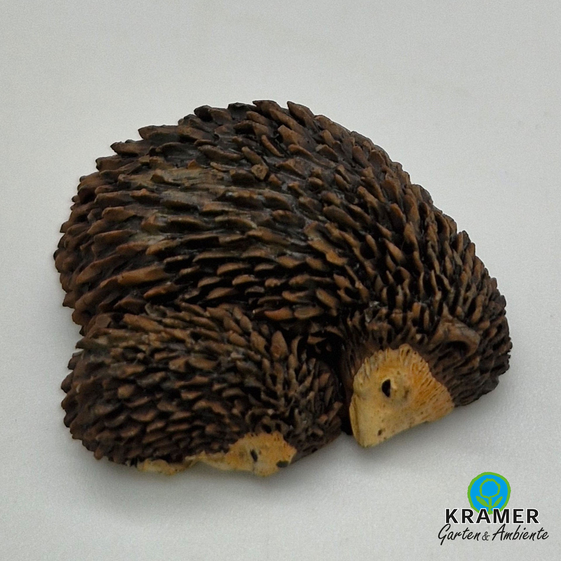 Igel mit igel-baby schlafend