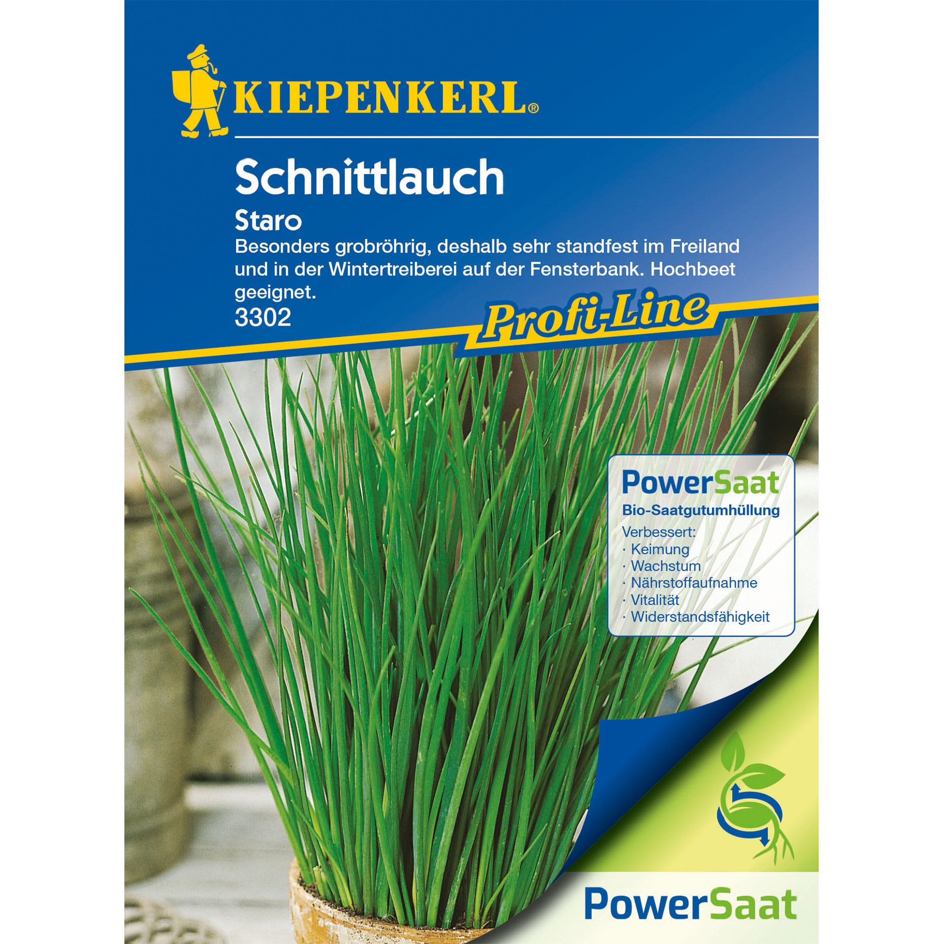 Schnittlauch Staro, Kräutersamen PowerSaat Schnittlauch Staro, Kräutersamen PowerSaat