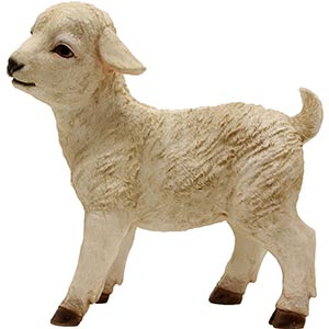 Kleines weißes stehendes Lamm