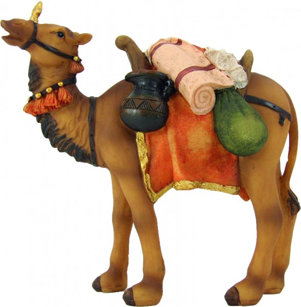 Kamel mit Gepäck