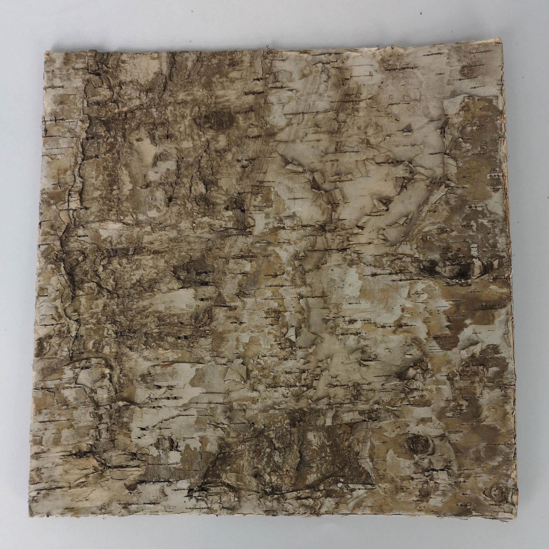 Platte aus Birkenrinde zur Krippendekoration, Birkenrinde, Holzstruktur, Korkähnliche Oberfläche, Naturmuster, Braunbeige