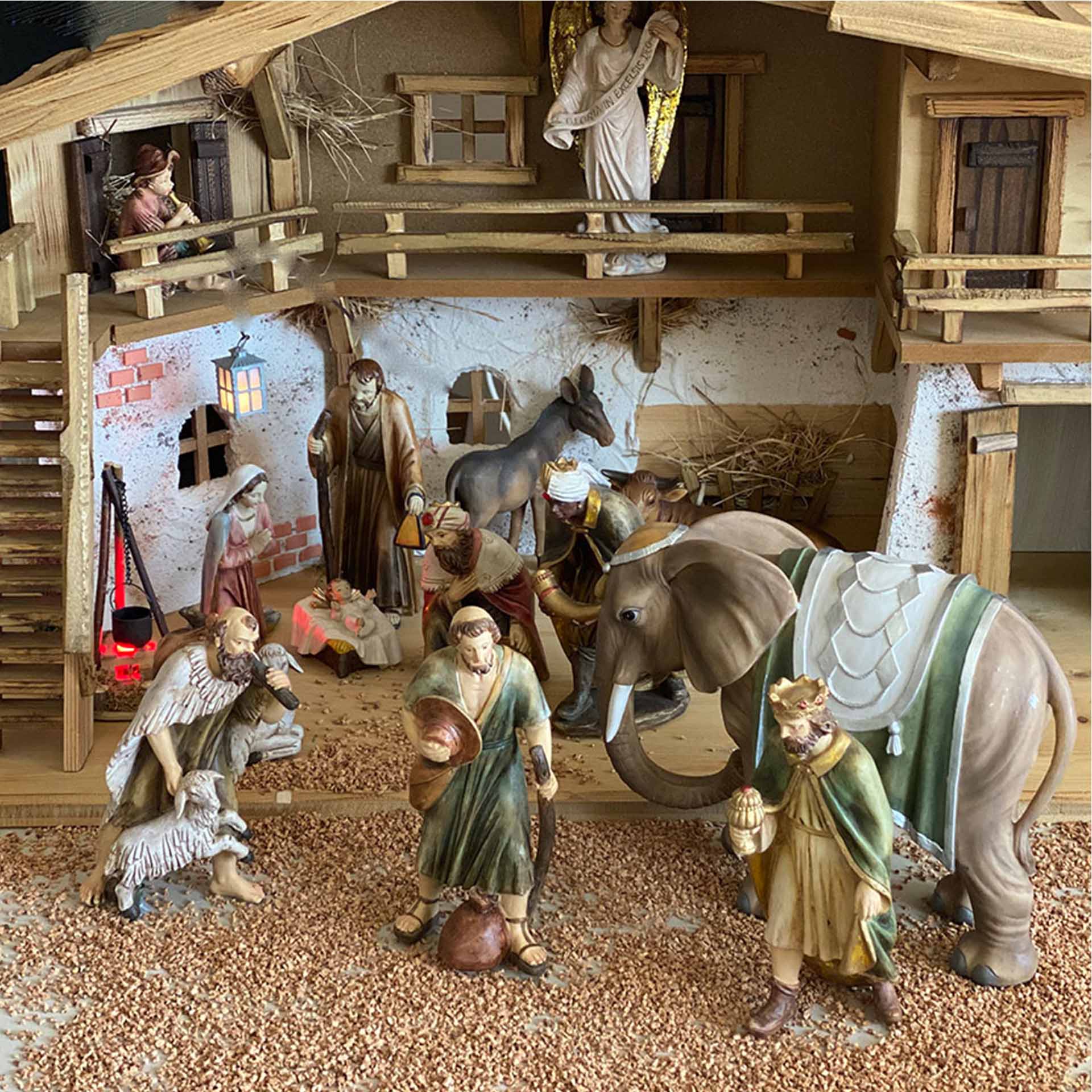 Erwachsener, Weiblich, Person, Frau, Elefant