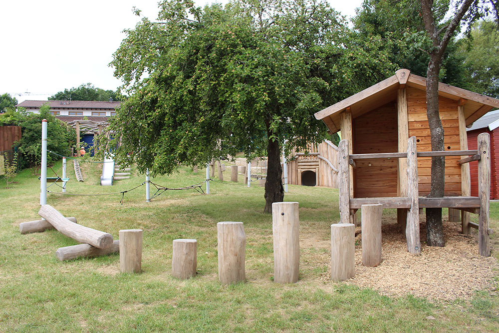 Pflanze, Baum, Holz, Draußen, Wohnen