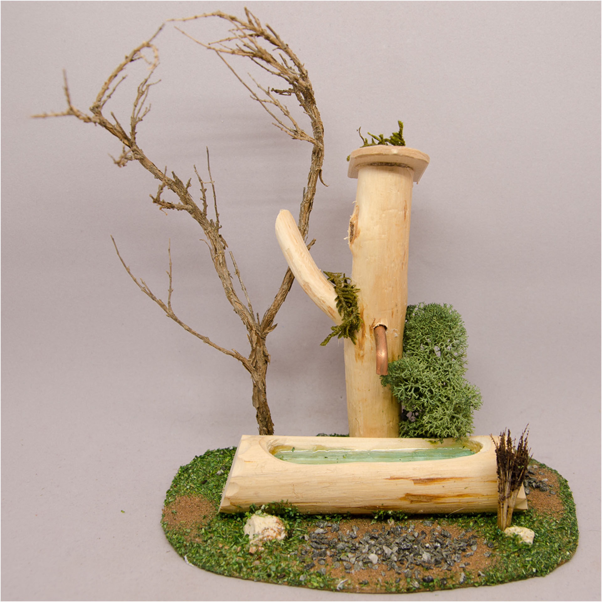 Holz, Pflanze, Baum
