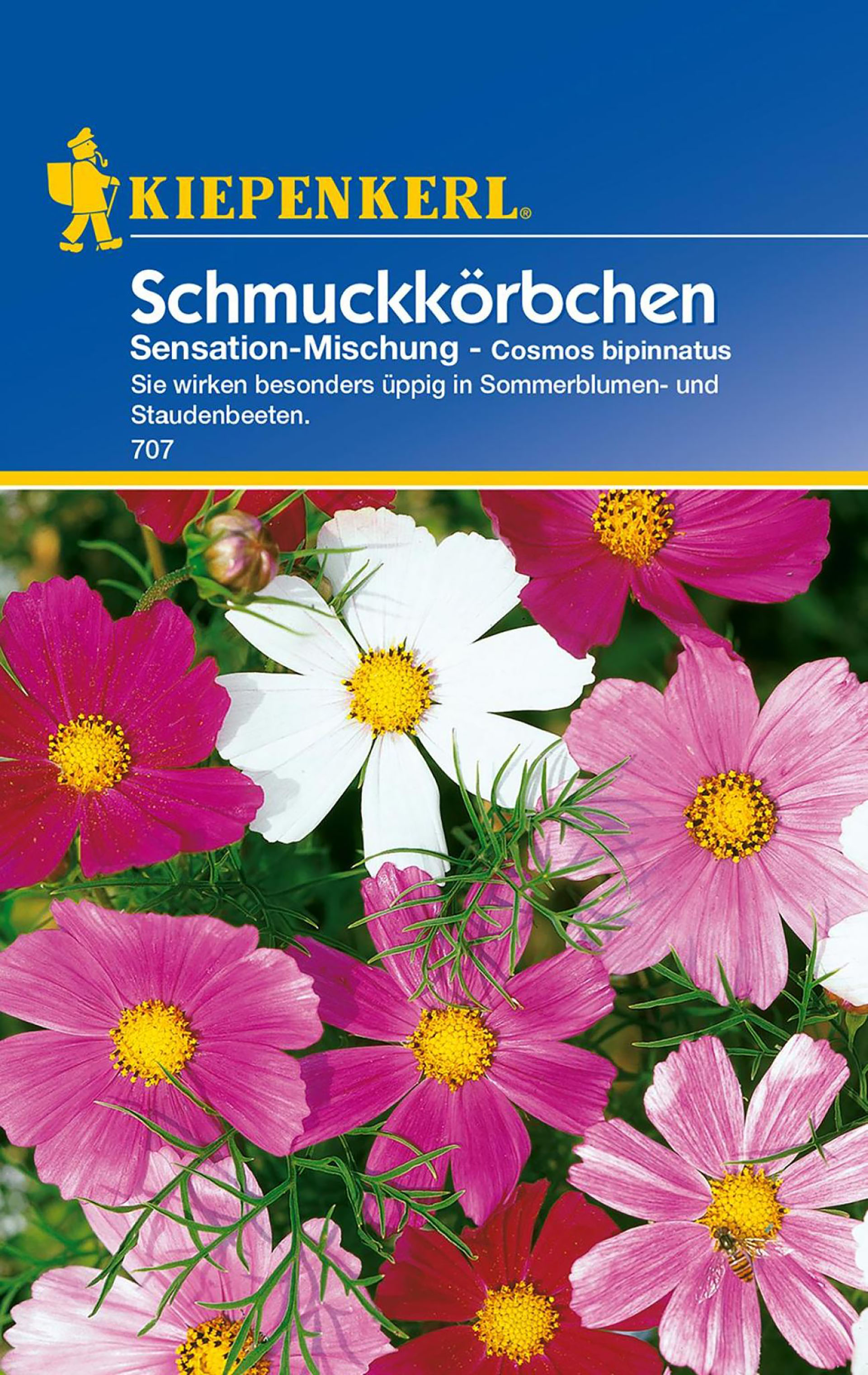 Schmuckkörbchen Sensation-Mischung PG-C Schmuckkörbchen Sensation-Mischung PG-C