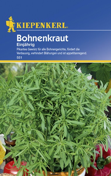 Bohnenkraut einjährig Bohnenkraut einjährig