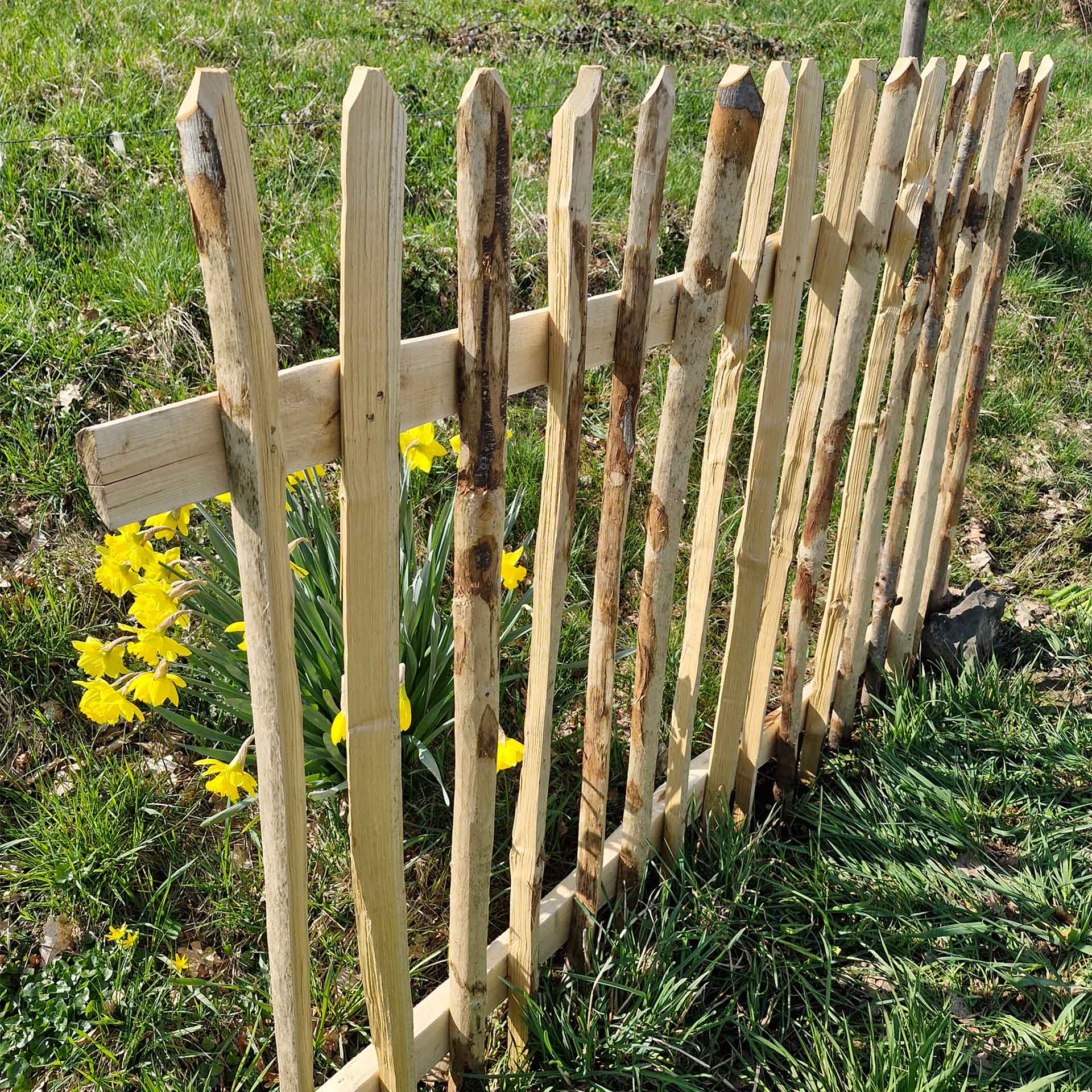 Zaunelement aus spitzen Staketen in Nahansicht