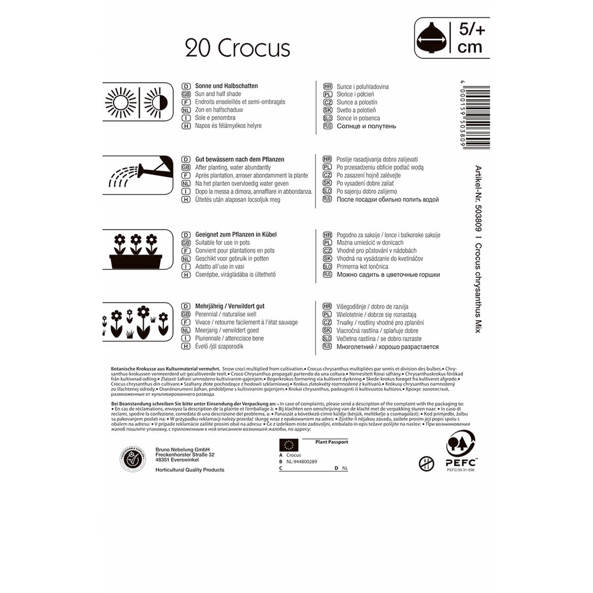 Krokus Mischung Blumenzwiebeln