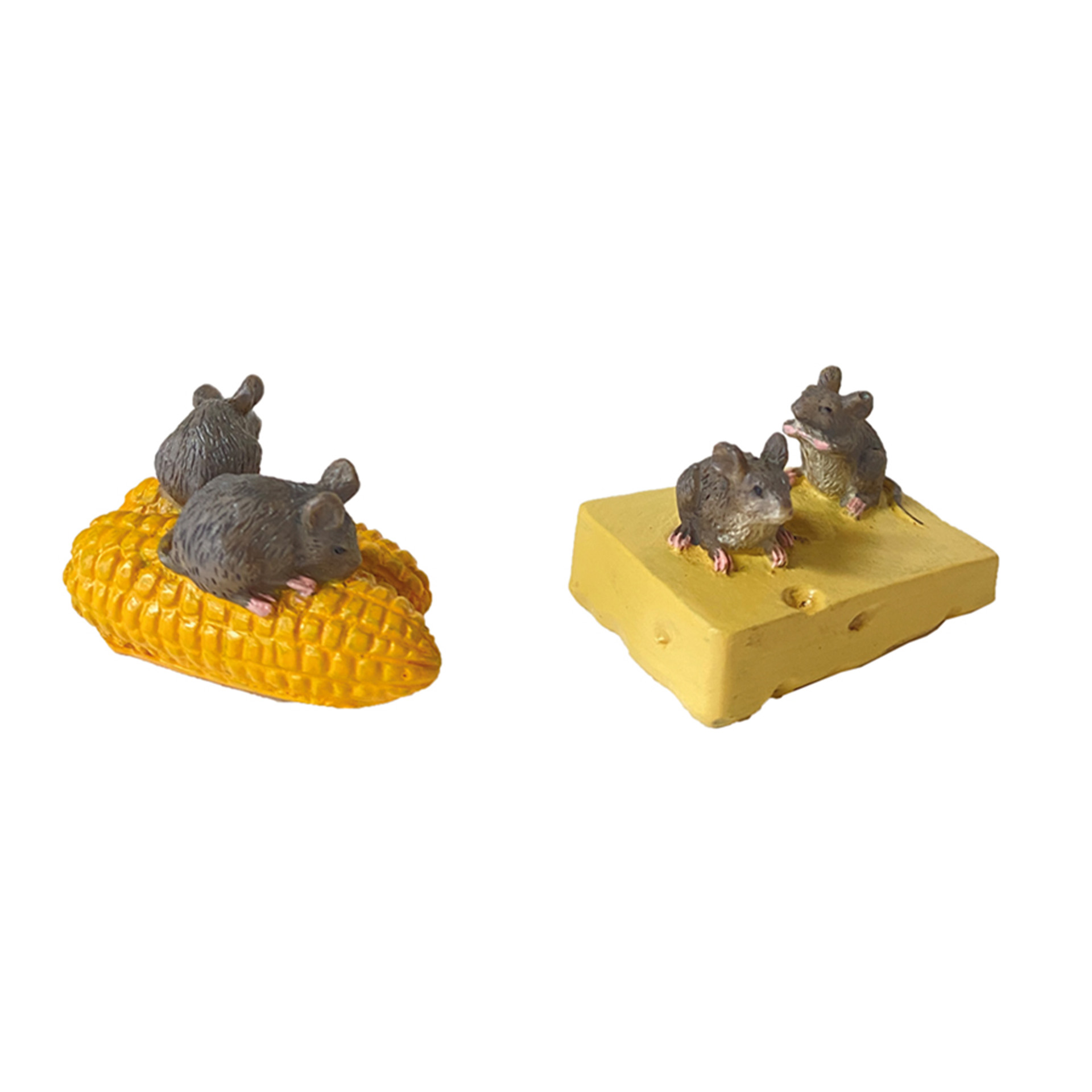 Tier, Säugetier, Ratte, Nagetier