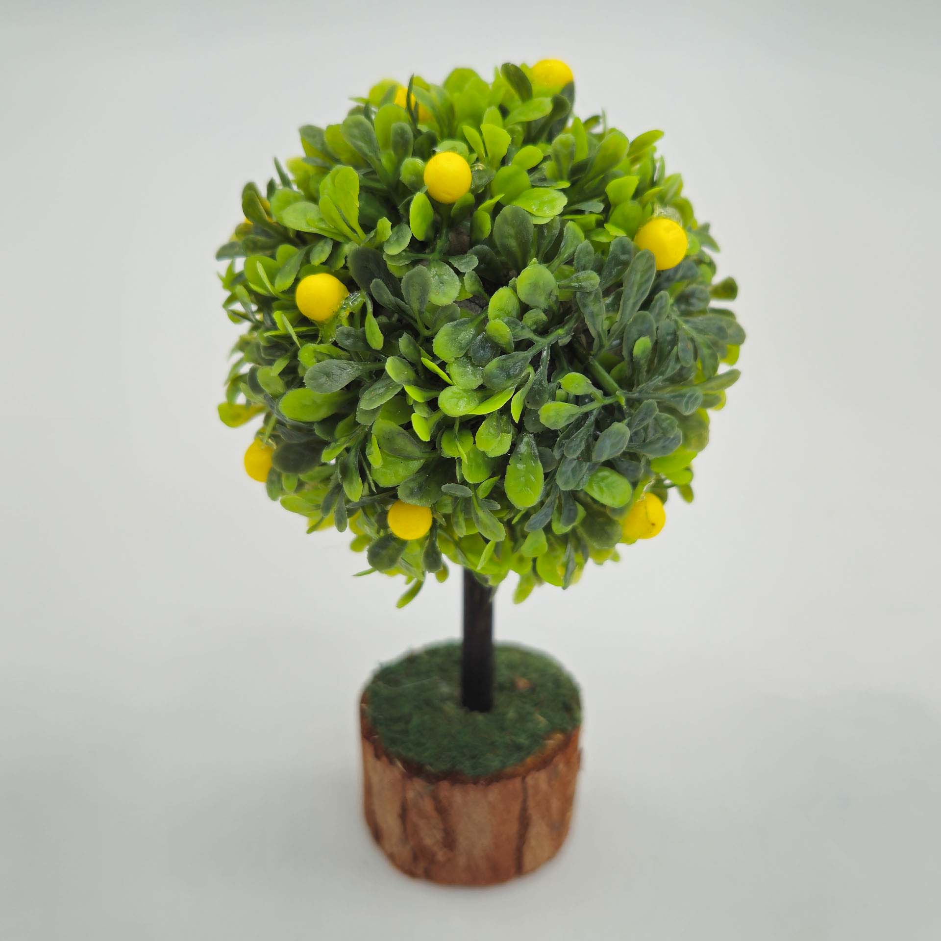 Zitronenbaum 12cm Pflanze, Pflanze im Topf, Baum, Blatt, Blumen-Arrangement, Pflanze, Pflanze im Topf, Baum, Blatt