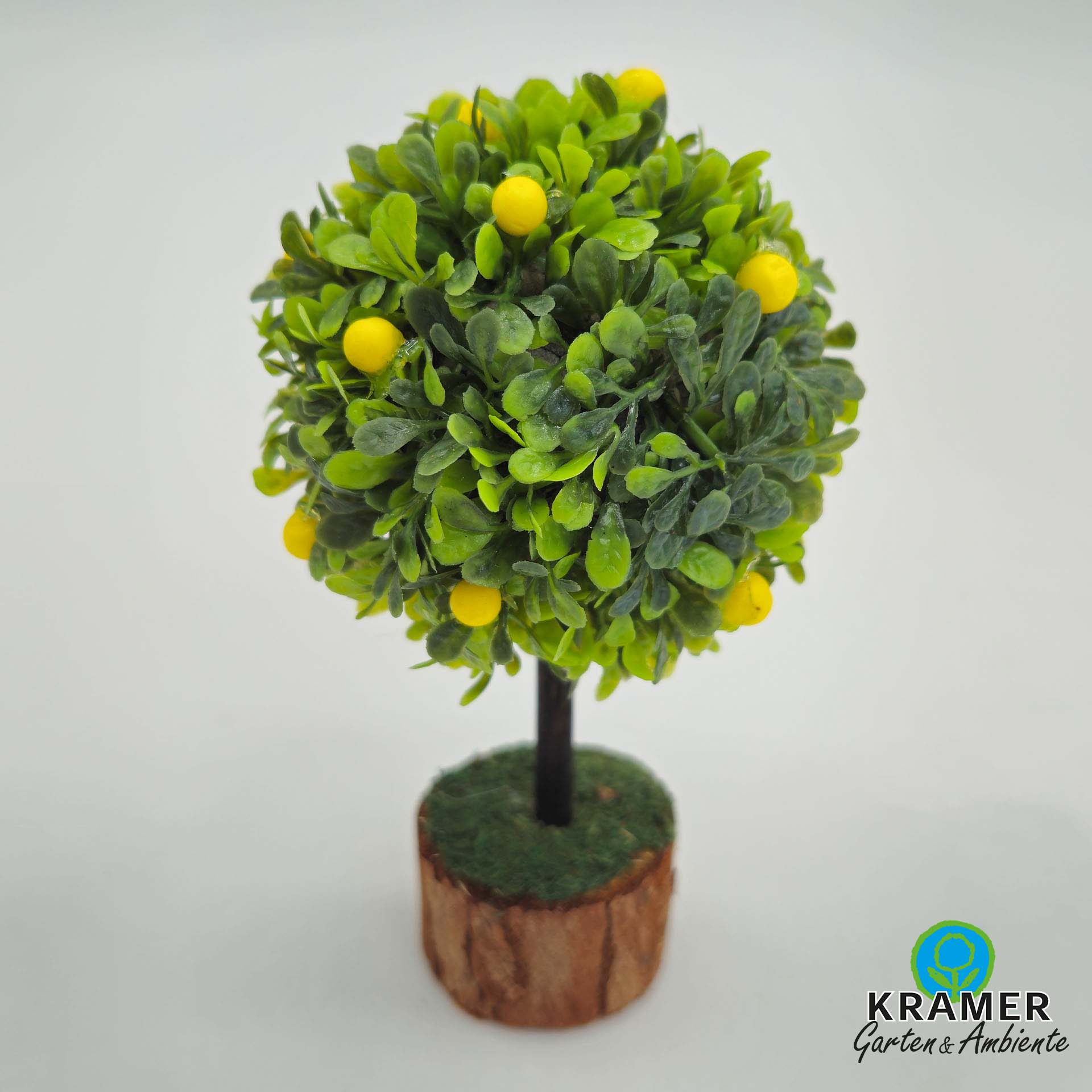 Pflanze, Pflanze im Topf, Baum, Blatt, Blumen-Arrangement, Pflanze, Pflanze im Topf, Baum, Blatt, Pflanze, Pflanze im Topf, Baum, Blatt, Zitrusfrüchte