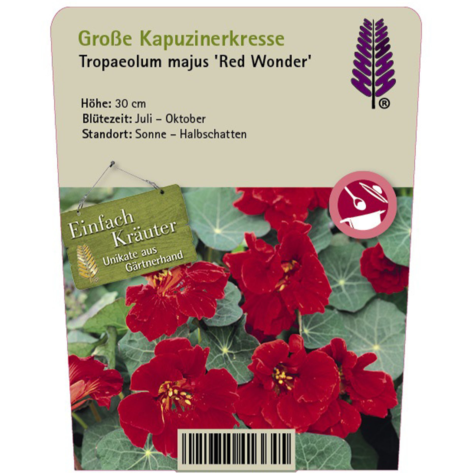 Blume, Blütenblatt, Geranie, Eine andere, Blatt, Blume, Geranie, Blütenblatt, Ein anderes, Hibiskus
