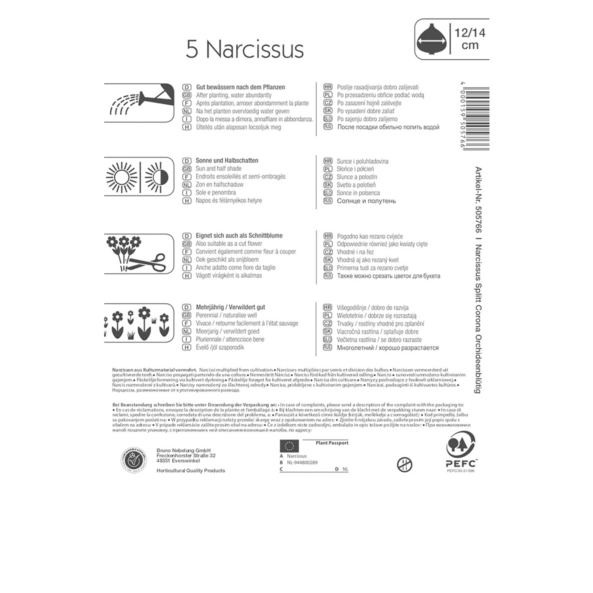 Narzisse orchideenblütig Blumenzwiebel 2