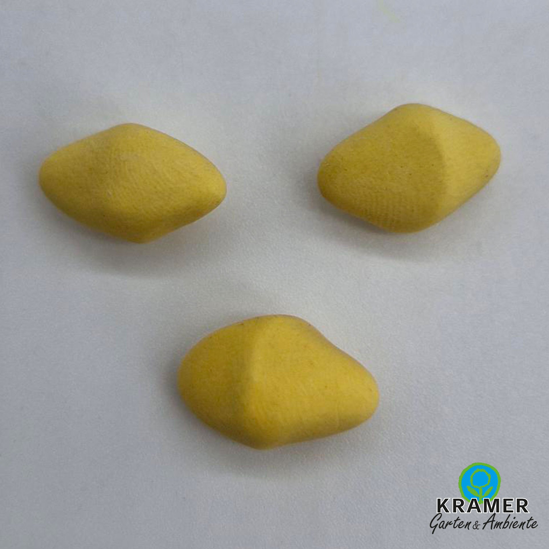 Essen, Obst, Pflanze, Produzieren, Birne, Essen, Obst, Pflanze, Produzieren, Birne, Blume, Blütenblatt, Pflanze, Birne, Produzieren