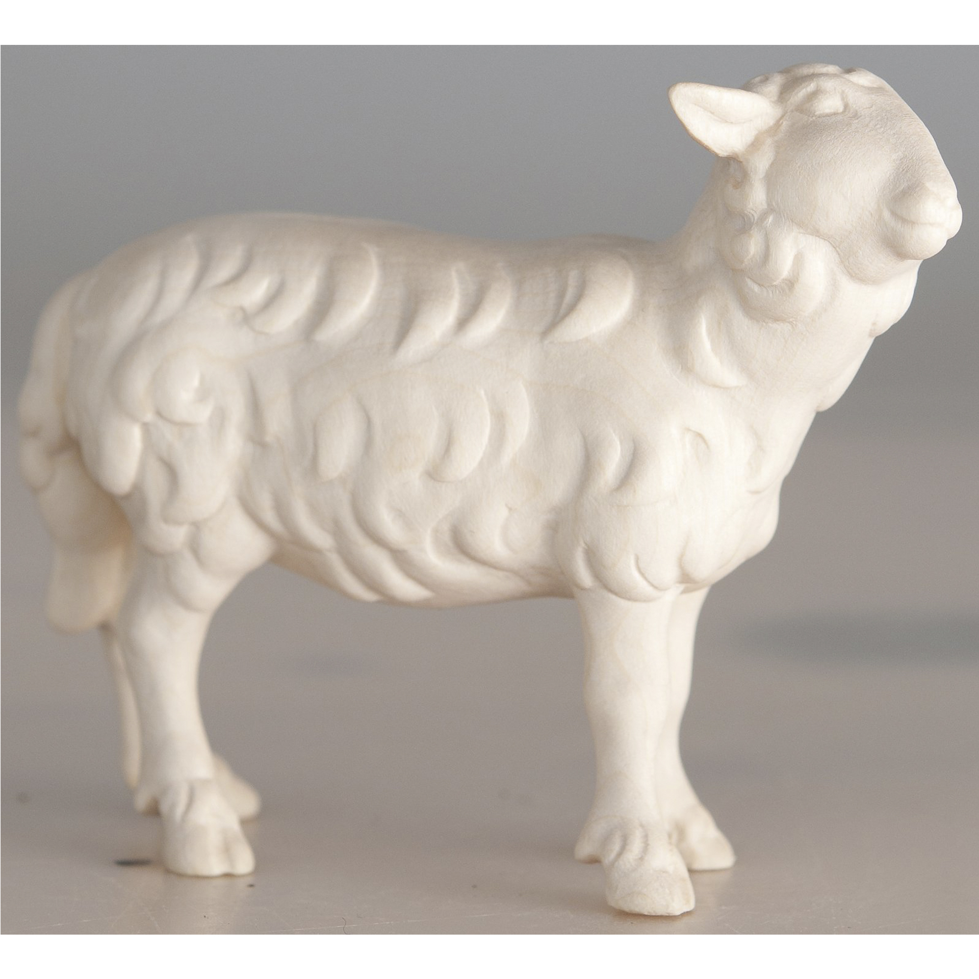 Schaf naturfarben, rechts schauend aus der SAerie der Bethlehem Krippe