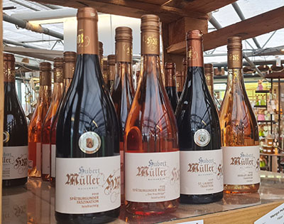 viele verschiedene rot- und weißweine zu jeder jahreszeit, Sekt, Wein, Flasche, Rosé, Bestandteile