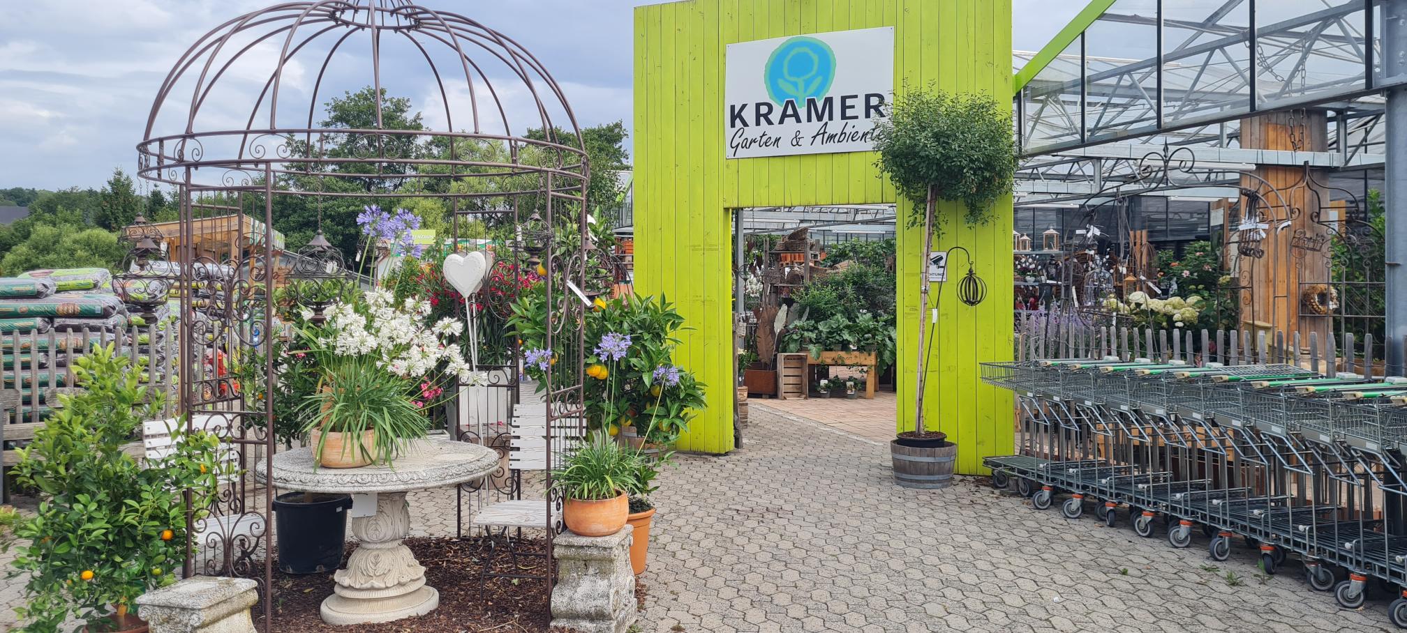 Garten, Einkaufszentrum, Gartenarbeit, Topfpflanze, Stadt