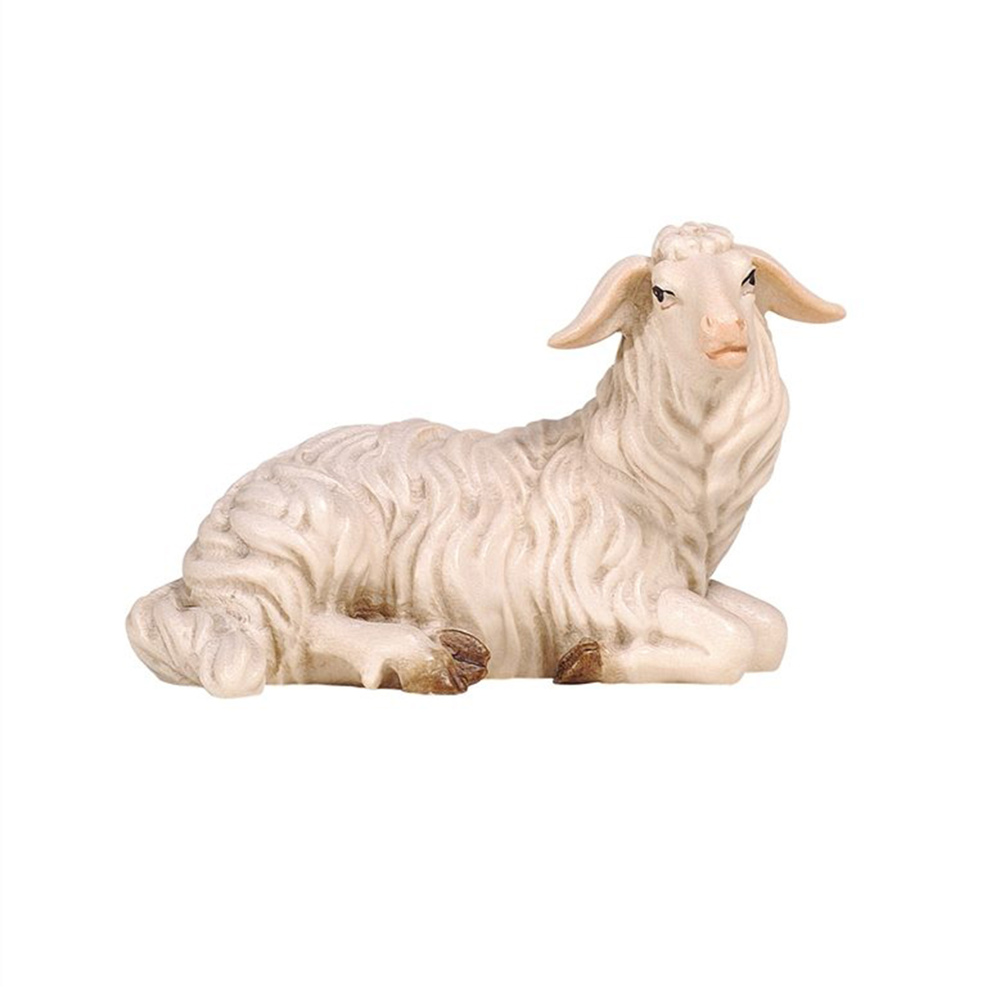 Vieh, Tier, Säugetier, Schaf