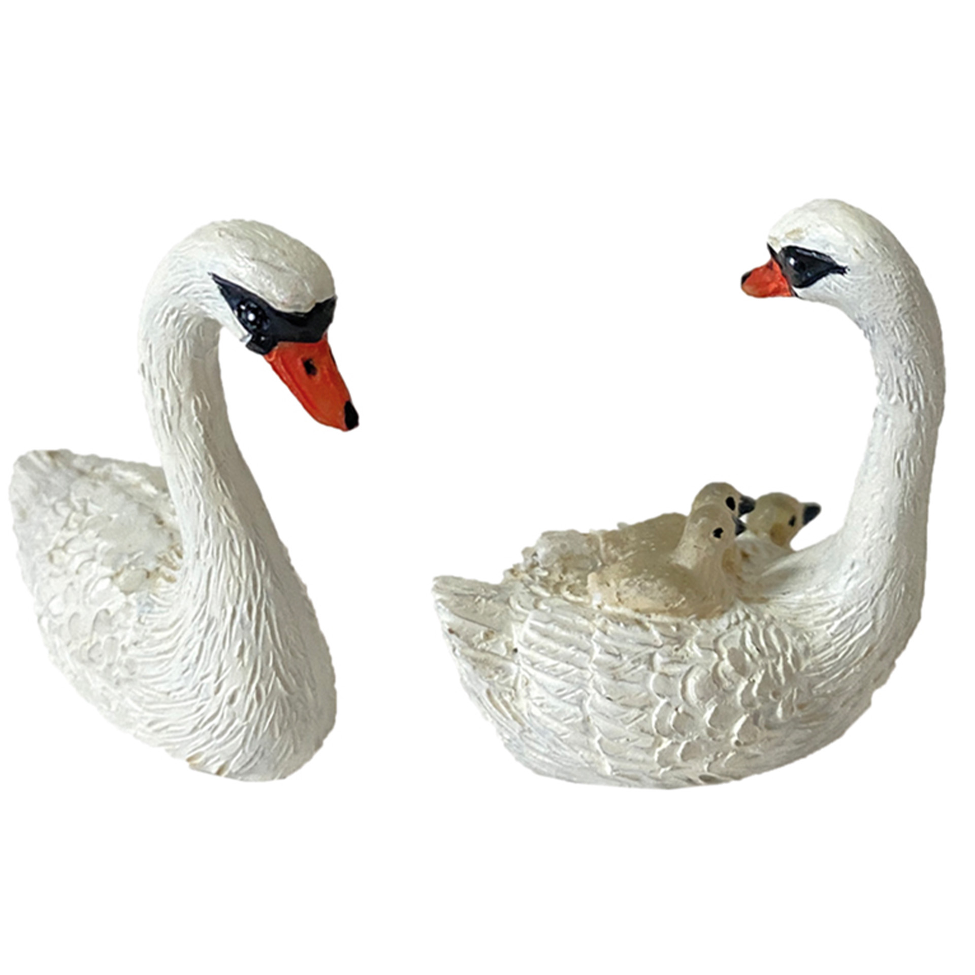 Tier, Vogel