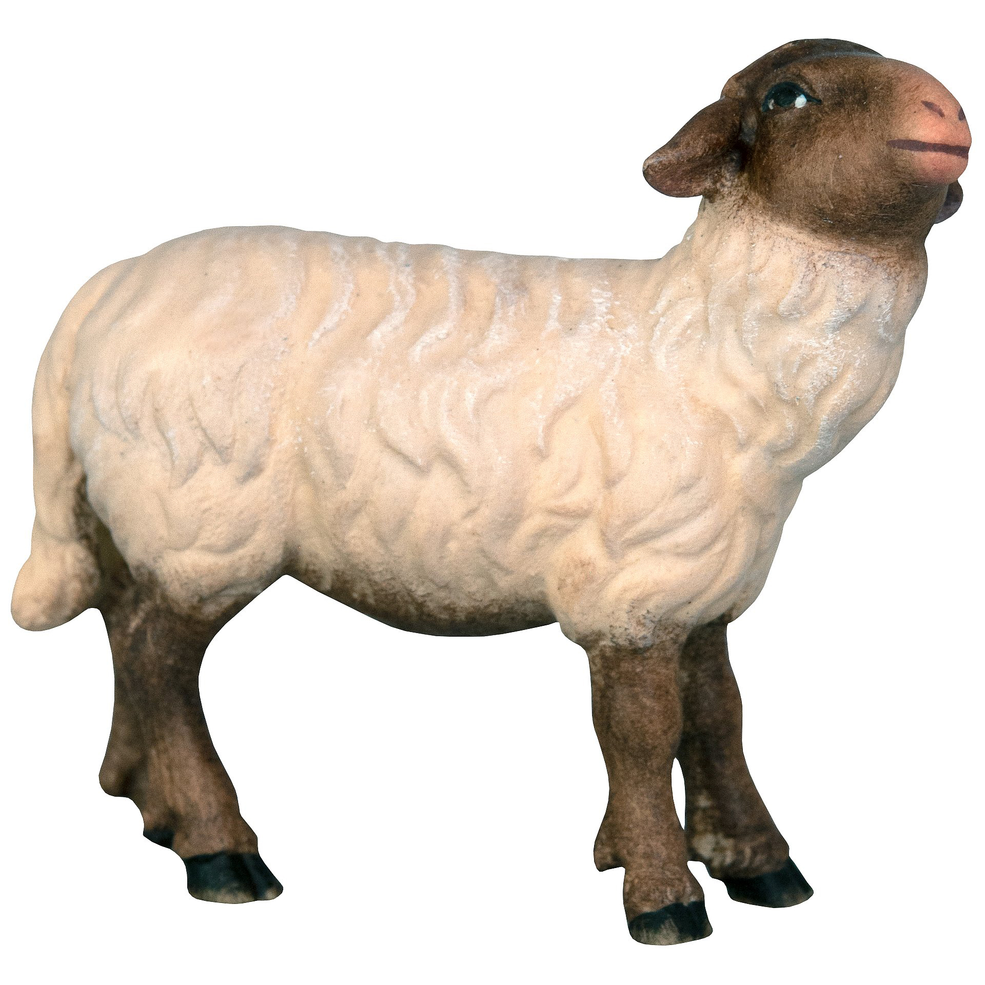 Schwarzes Schaf mit weißem Fell Bethlehem Krippe Zusatzfigur